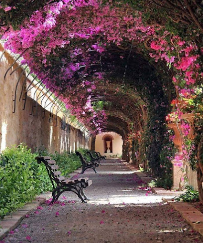 Imagen de Jardi de Montfort -