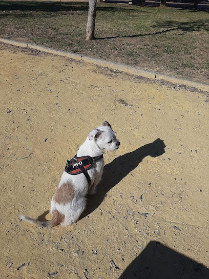 Imagen de Calzada Garden -