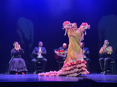 Imagen de Teatro Flamenco Madrid -