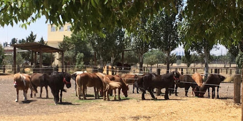 San Jorge Riding School - Campo de equitacion