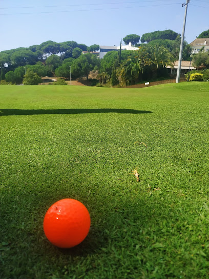 Imagen de PITCH AND PUTT HANDICAP 1 -