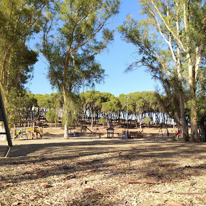 Imagen de Parque Infantil Pinares De Oromana -