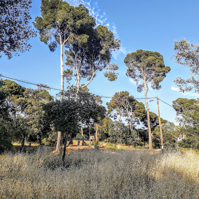 Imagen de Bosc de Can Gorgs Park -