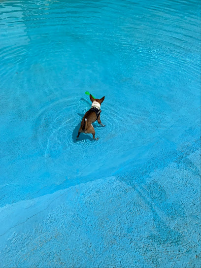 Imagen de Aquapark Canino Can Jue -