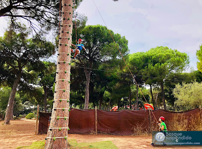 Imagen de Bosque Suspendido - Parque de Aventuras en los Arboles -