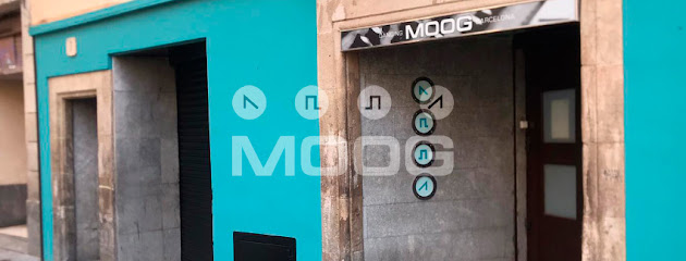 Imagen de Moog -