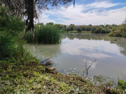 Imagen de Laguna de Fuente del Rey -