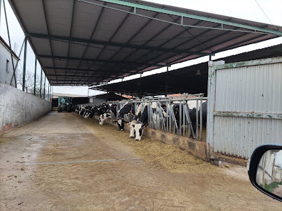 Imagen de Finca Sainz-maza -