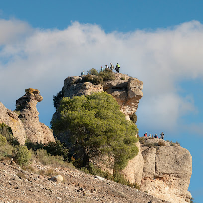 Imagen de Parc Natural de Sant Llorenç del Munt i l'Obac -