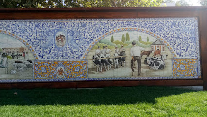 Imagen de Caballos -