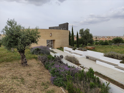 Imagen de Parque Olivar del Zaudin -
