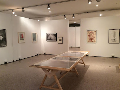 Imagen de Showroom -