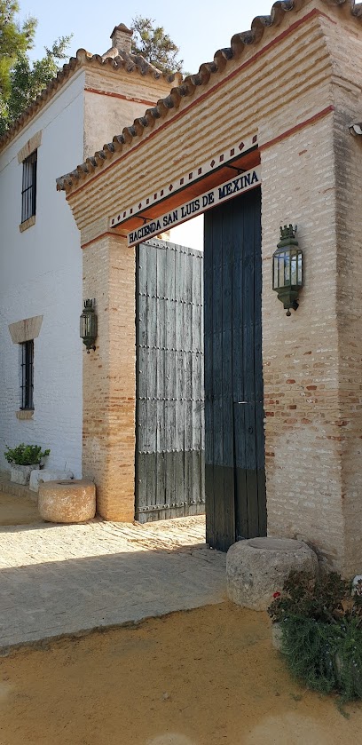 Imagen de Hacienda San Luis de Mejina -