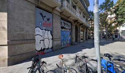 Imagen de Sport Voyagers -