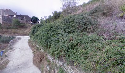 Imagen de Club de Chiva SALA -