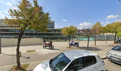 Imagen de Club de Tenis de Mesa ROMAN -