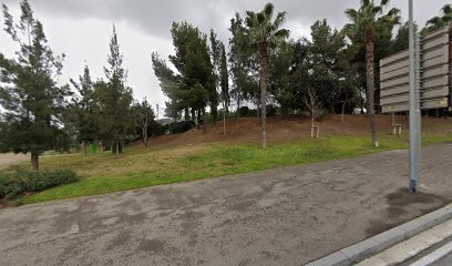 Imagen de Mesa Ping Pong antojitos -