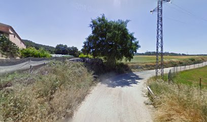 Imagen de Catalonia Horse Trails -