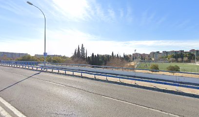 Imagen de Circuito de coches radiocontrol -