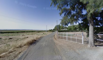 Imagen de DHS Nueva -